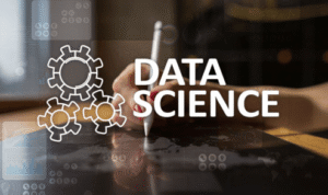 Data-Driven Degrees: The Growing Necessity of Python and R in Non-Technical Majors